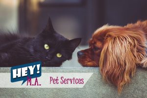 Dog & Pet Care Services