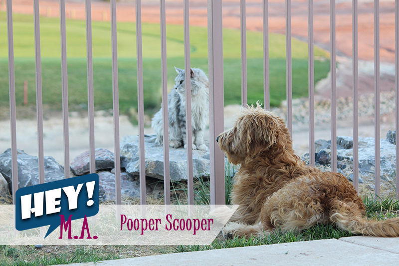 Pooper Scooper Services